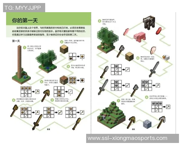 探索全球足球球衣网站的独特魅力与购买指南