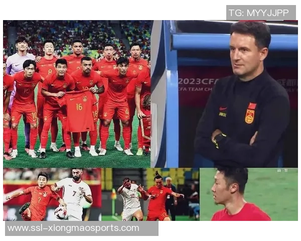 足球比赛中意外死亡事件频发引发社会对安全措施的深思与讨论